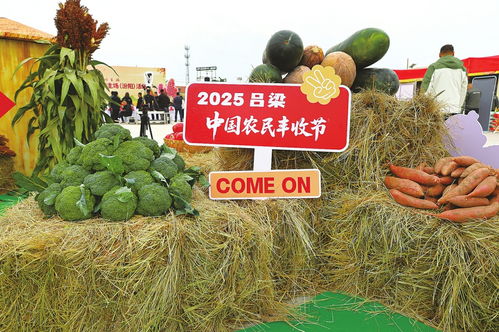 慶農(nóng)業(yè)豐收 享美好生活